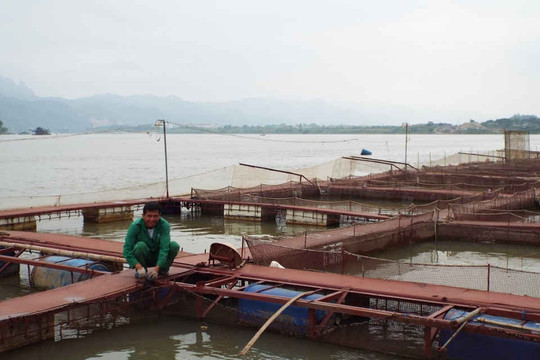 Phát huy hiệu quả nguồn lợi thủy sản bền vững tại lưu vực sông Đà