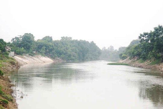 Hà Nội đầu tư trên 37 tỷ đồng chống sạt lở sông Bùi