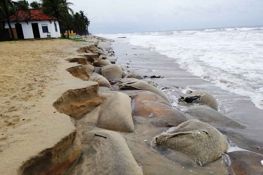 Quảng Nam: 12,5 tỷ đồng thực hiện kè khẩn cấp chống xâm thực bờ biển Cửa Đại