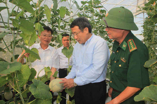 Quảng Trị: Thành công bước đầu từ các mô hình nông nghiệp thân thiện với môi trường