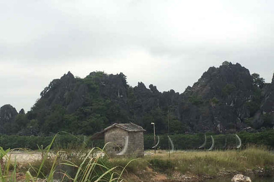 TP Hạ Long (Quảng Ninh): Ngang nhiên giăng cả ngàn mét lưới để bẫy chim