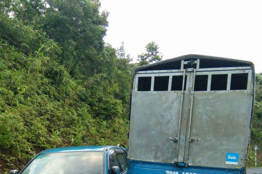 Điện Biên: Đối tượng chở 460 lóng gỗ nghiến lao vào xe công vụ rồi bỏ chạy