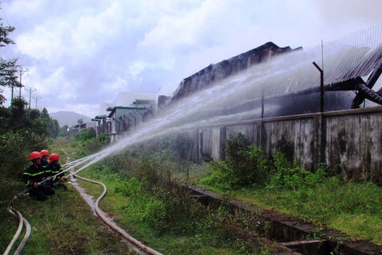 Bình Định: Cháy lớn bất thường tại Công ty TNHH Nông Trại Xanh