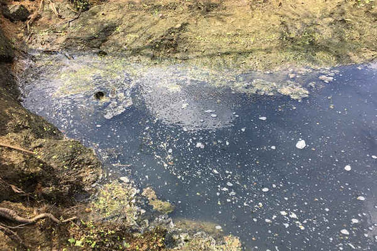 Quảng Bình: Dân “tố” Nhà máy tinh bột sắn Sông Dinh xả thải gây ô nhiễm