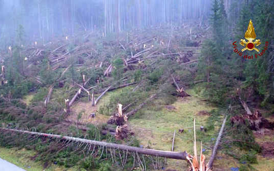 Bão ở Italy cướp đi mạng sống của 17 người và 14 triệu cây