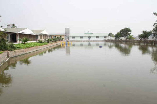 Hà Nội: Cho phép HTX Hoàng Long xả nước thải vào nguồn nước