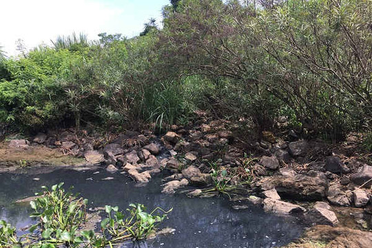 Dân “tố” Nhà máy tinh bột sắn Sông Dinh xả thải gây ô nhiễm”: UBND tỉnh Quảng Bình chỉ đạo Sở TN&MT kiểm tra