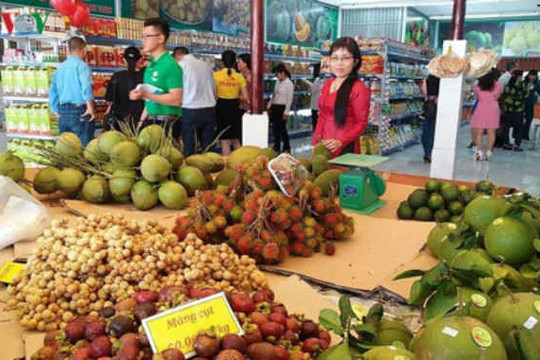 Nông sản Việt gặp nhiều bất lợi khi vào hệ thống thương mại