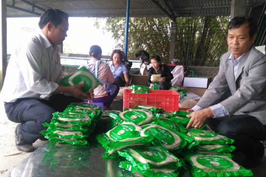 Quảng Nam: Ký kết chương trình phối hợp hỗ trợ khởi nghiệp