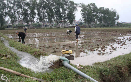 Hà Nội: Chủ động lấy đủ nước, kịp thời phục vụ sản xuất vụ Đông Xuân
