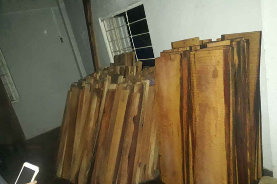 Quảng Nam: Bắt xe ô tô tải chở hàng chục phách gỗ không rõ nguồn gốc