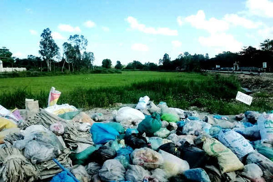 Quảng Ngãi: Nhà máy rác chậm tiến độ, rác ùn ứ khắp nơi