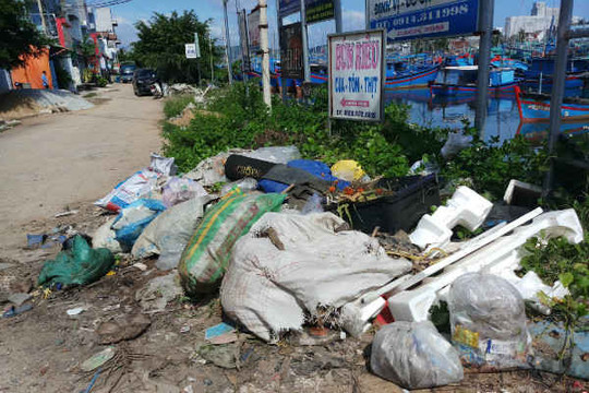 Bình Định: Nỗ lực khắc phục ô nhiễm tại cảng cá Tam Quan