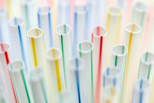 Các trường học kêu gọi loại bỏ nhựa dùng một lần vào năm 2022