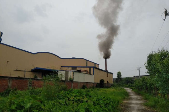 Tứ Kỳ (Hải Dương): Công ty Hoàng Gia Việt ngang nhiên “đầu độc” môi trường?