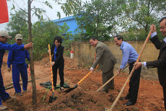 Quảng Trị ban hành Chỉ thị về Tết trồng cây Xuân Kỷ Hợi 2019