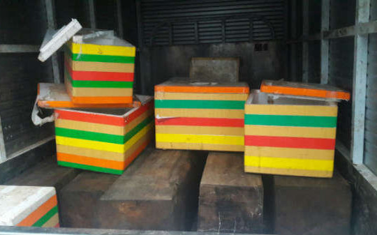 Đà Nẵng: Xe tải ngụy trang gỗ không rõ nguồn gốc bằng thùng xốp