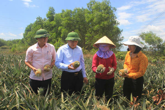 Quảng Trị: Sẽ có huyện đạt chuẩn nông thôn mới vào năm 2020
