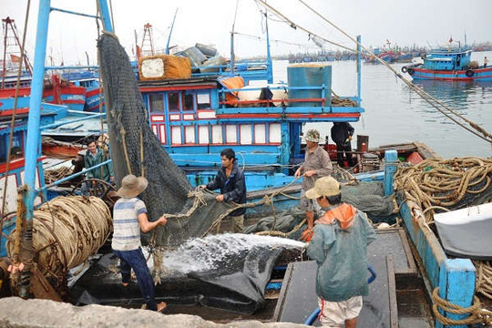 Đà Nẵng: Đảm bảo an toàn cho các tàu khai thác hải sản xa bờ