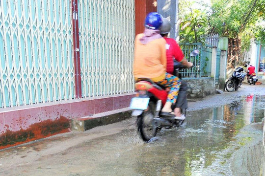TP Quy Nhơn (Bình Định): Khu dân cư Hóc Bà Bếp quanh năm ngập nước