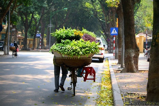 Bắc Bộ nắng ráo, có nơi cao nhất 27 độ