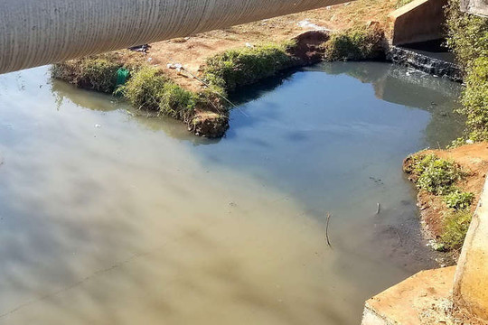 Gia Lai: Nước thải ra môi trường của KCN Trà Đa có màu đen, mùi hôi