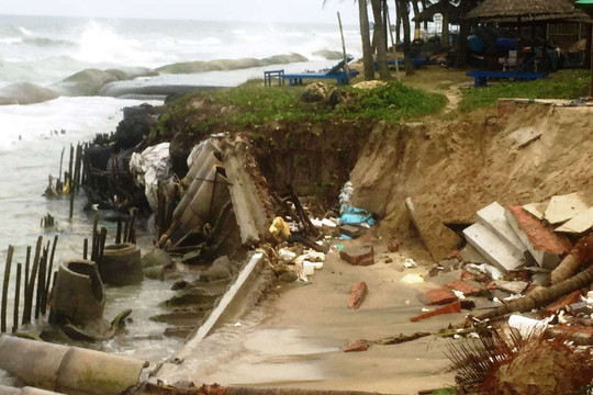 Quảng Nam: Bờ biển Cửa Đại tiếp tục sạt lở nghiêm trọng