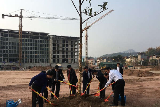 Sơn La: Ra quân phát động Tết trồng cây Xuân Kỷ hợi 2019