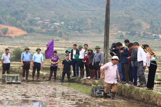 Điện Biên: Tổ chức Lễ Khai Xuân sản xuất nông, lâm nghiệp