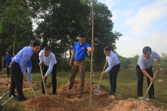 Quảng Trị: Ra quân trồng hàng trăm cây bóng mát nhân dịp đầu xuân mới