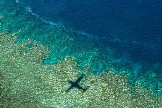 Rạn san hô Great Barrier có nguy cơ bị tẩy trắng do nước lũ ở Queensland