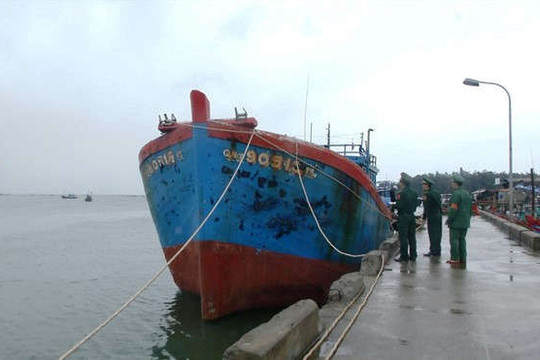 Quảng Ngãi: Kiểm soát chặt chẽ tàu cá khai thác tại các vùng biển xa có dấu hiệu xâm phạm vùng biển nước ngoài