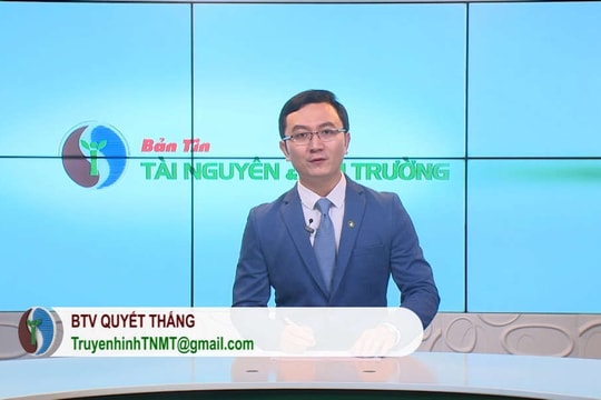 Bản tin TN&MT số 7/2019 (số 73)