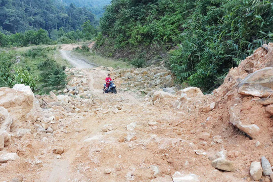Thừa Thiên Huế: Ngăn chặn khai thác, vận chuyển gỗ trái phép tại tuyến đường hơn 500 tỷ “đắp chiếu”