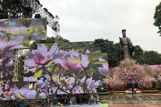Rực rỡ con đường hoa trước thềm khai mạc Lễ hội hoa anh đào Nhật Bản 2019