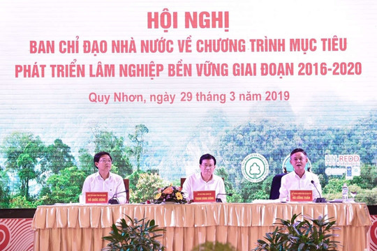 Phó Thủ tướng Trịnh Đình Dũng chỉ đạo Chương trình mục tiêu phát triển lâm nghiệp bền vững giai đoạn 2016-2020