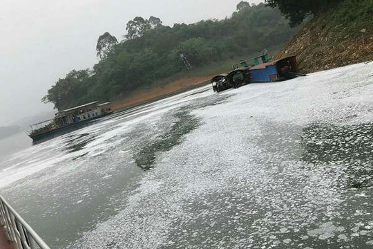 Yên Bình (Yên Bái): Cần sớm điều tra nguyên nhân bột trắng nổi trên mặt nước Hồ Thác Bà