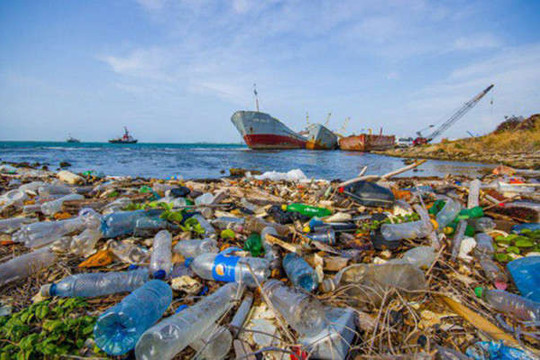 Cam kết giảm rác thải nhựa: Hành động ngay!