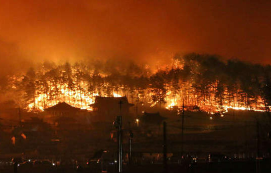 Lính cứu hỏa bắt đầu khống chế cháy rừng ở Hàn Quốc, hàng ngàn người sơ tán