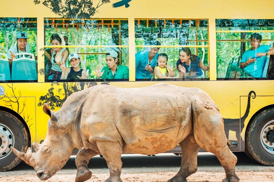 Tê giác con đầu tiên chào đời tại Vinpearl Safari Phú Quốc