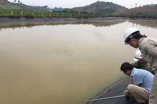 Sơn La: Tiếp tục kiểm tra, xác minh nguyên nhân ô nhiễm nguồn nước mó gốc sung