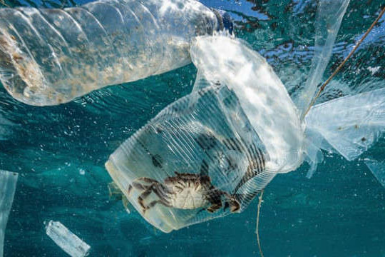 Ô nhiễm rác thải nhựa đại dương gây thiệt hại 2,5 tỷ USD mỗi năm