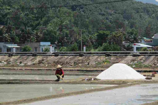 Bình Định: Mặn mòi nghề muối Cát Minh