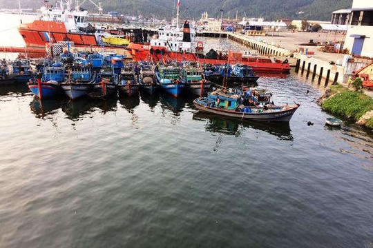 Đà Nẵng: Xử lý tình trạng nước tràn tại Âu thuyền Thọ Quang