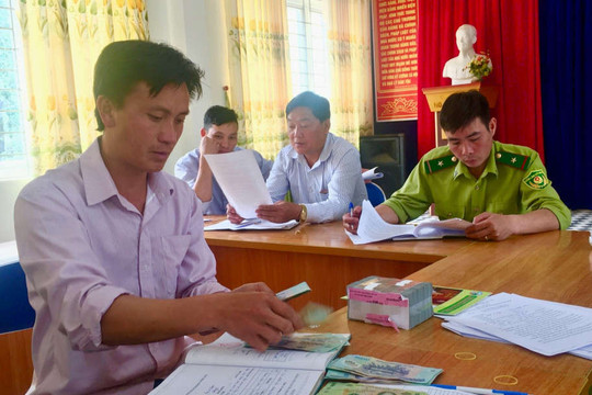 Điện Biên: Chi trả tiền dịch vụ môi trường rừng tại Tủa Chùa