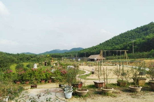 Hà Tĩnh: Đình chỉ dự án KDL sinh thái và trải nghiệm giáo dục Hoa Hồng do sai phạm về đất đai