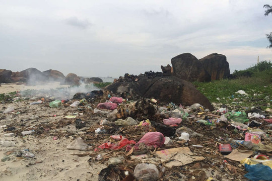 Quảng Ngãi:  Rác thải “bủa vây”, gây ô nhiễm nặng nề vùng cửa biển Sa Cần