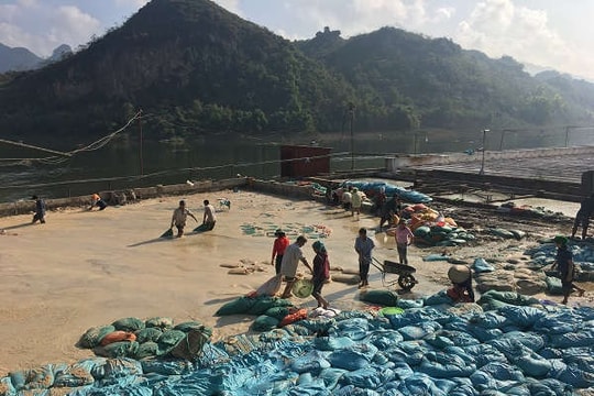 Phù Yên – Sơn La: Tăng cường bảo vệ môi trường trong chế biến nông sản