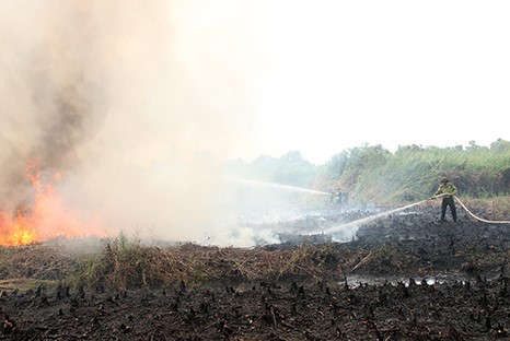 Hậu Giang: Nâng mức cảnh báo cháy rừng lên cấp cực kỳ nguy hiểm