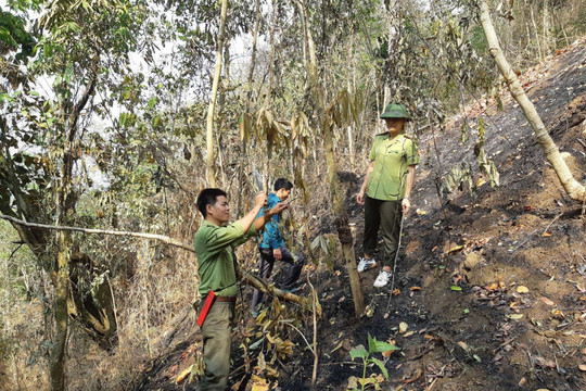 Điện Biên: Nhiều khó khăn trong phòng cháy, chữa cháy rừng